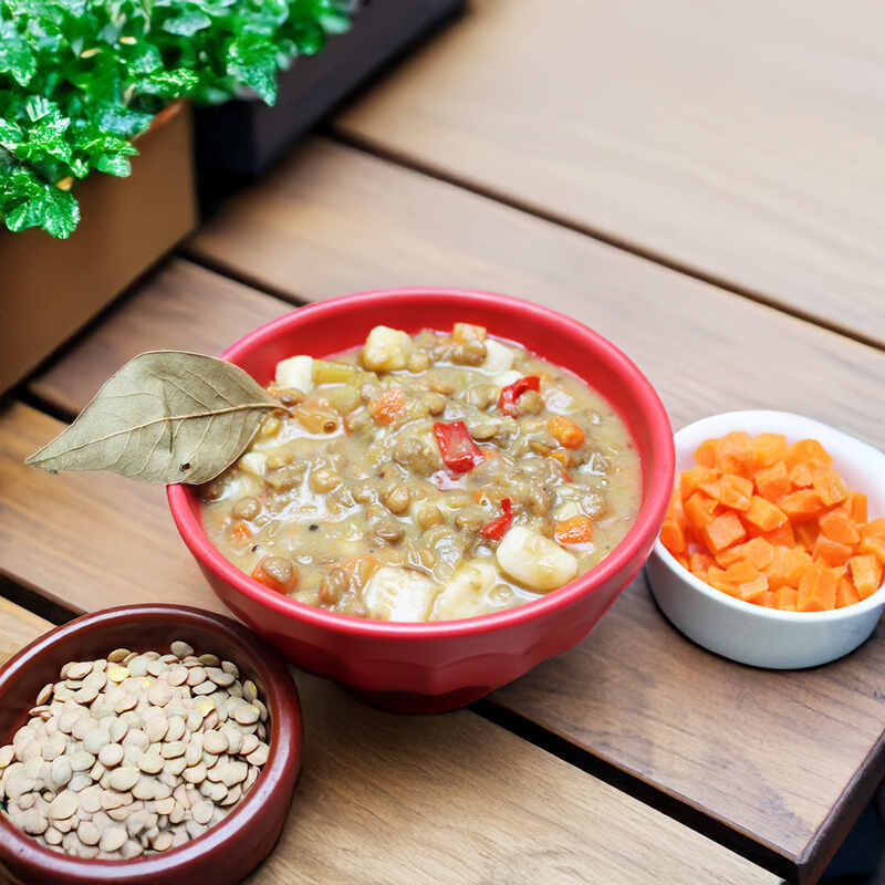 Chicken Vegetable and Rice Soup