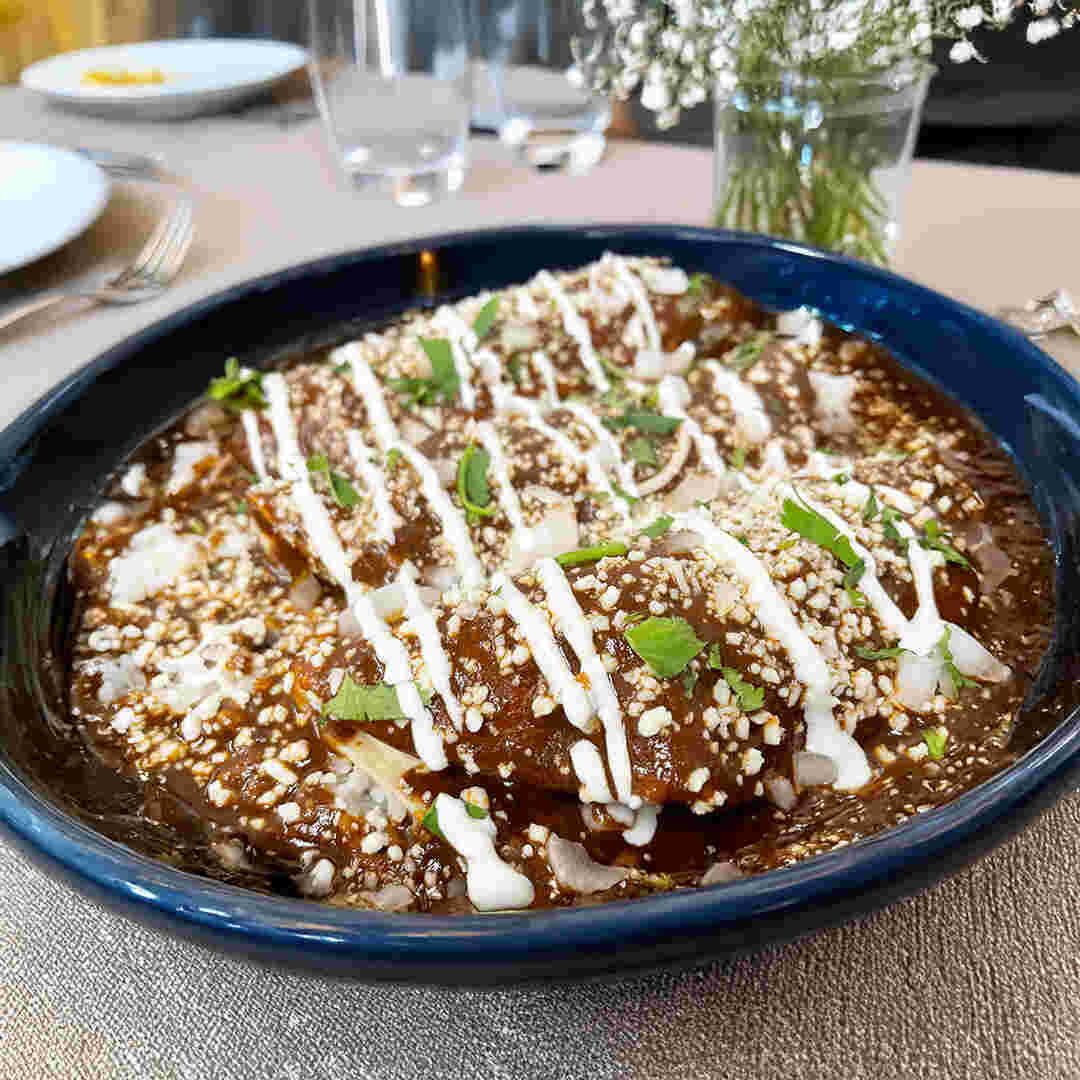 ENC Mole Sauce Enchilada